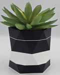 Geometric Hexagon Planter - Black & White